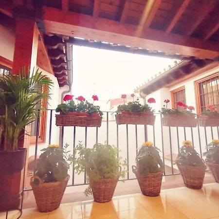 Attico Luxury SuiteMálaga Eksteriør bilde